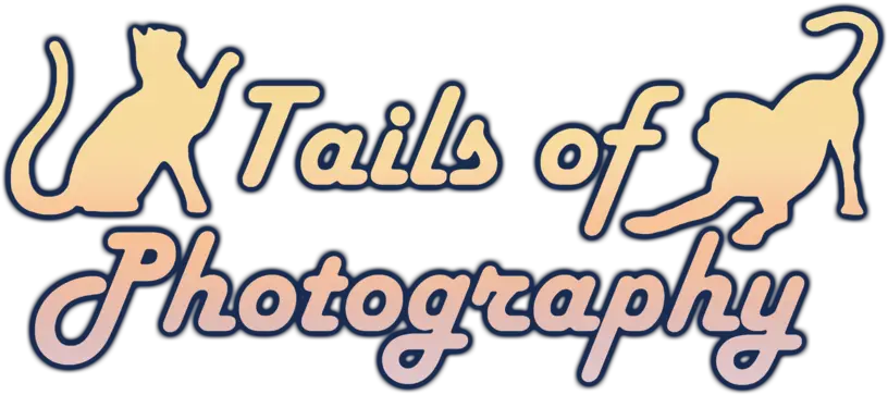  Tails Of Photography Png Transparent