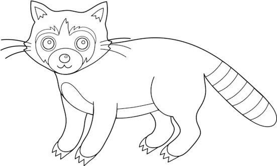  Download Colorable Raccoon Png Image Clipart Free Clip Art Outline Raccoon Racoon Png