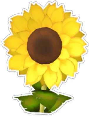  Sunflower Garden Paws Wiki Fandom Sunflower Png Garden Png