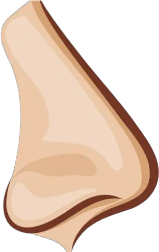  Nose Png Transparent Images Png Images Of Nose Nose Png