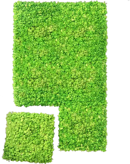  Wall System Vertical Lawn Png Hedge Png