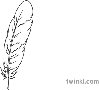  Feather 1 Fantastic Feathers Birds Animals Ks1 Black And Twinkl Autumn Leaves Png Feather Drawing Png