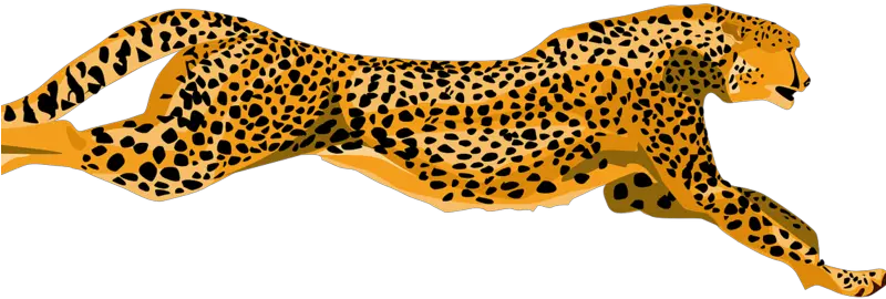  Cheetah Clipart Emoji Cheetah Clipart Png Cheetah Transparent