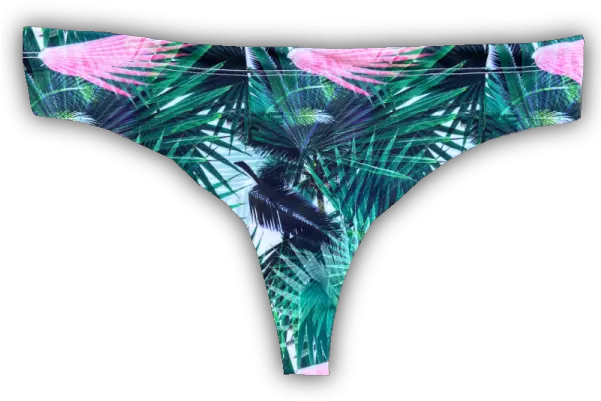  Fan Palms Thong Panties Png Thong Png