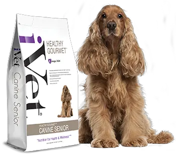  Product Categories Senior Cocker Spaniel Red Setter Png Transparent Dog Filter