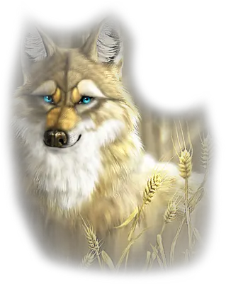  Clip Art Graphics Coyote Car Graphic Png Coyote Png