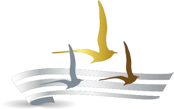  Create Your Own Seagulls Logo Online Using Maker Bird Png Seagull Icon