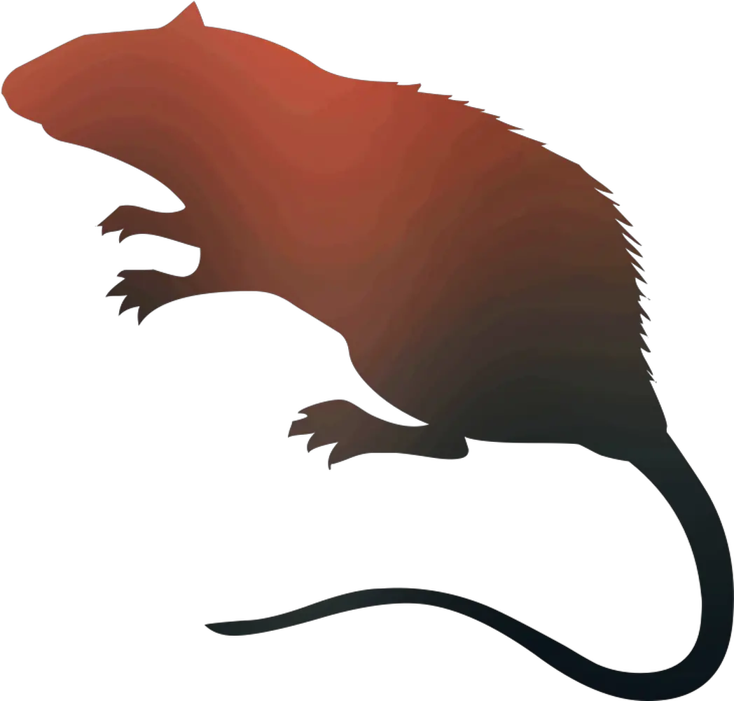  Rat Vector Graphics Royalty Free Silhouette Stock Rat Silhouette Png Rat Png