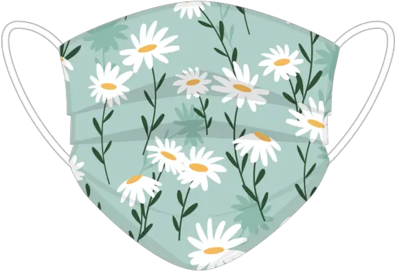  White Flowers Face Cover Camomile Png White Flower Transparent