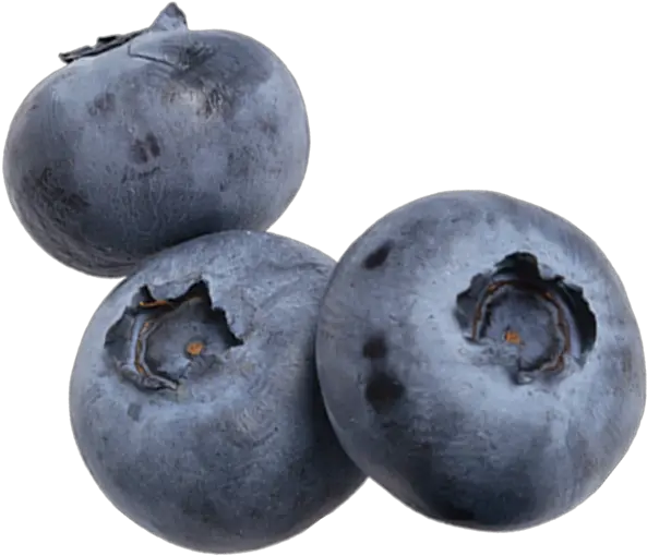  Produce Lovers Blueberry Png Blueberries Png