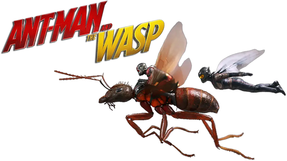  Ant Ant Man And The Wasp Png Ant Man And The Wasp Png