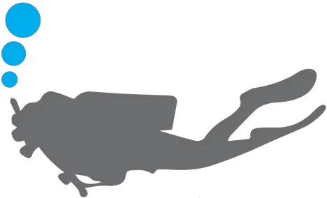  Contact Amphibian Adventures Silhouette Png Diver Png