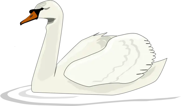  Goose Photo Background Transparent Png Images And Svg Swan Swimming Clipart Goose Transparent