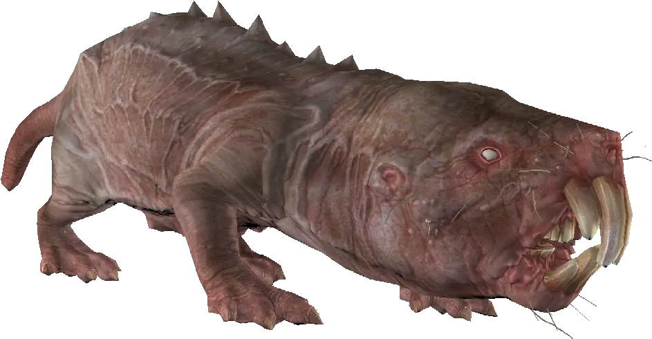  Mole Rat Fallout 4 The Vault Fallout Wiki Everything Fallout 4 Rat Png Rats Png