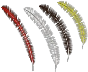  Feathers Collection Transparent Png Stickpng Feather Black Feather Png