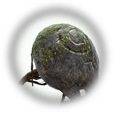  Bdo Ruins Spider Bddatabasenetusnpc20353 Green Algae Png Ruins Icon