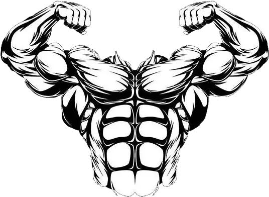  Muscle Muscles Muscleman Champion Abs Sixpack Transparent Cartoon Muscle Man Png Muscle Man Png