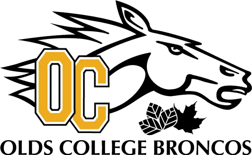  Olds Broncos Png Image With No Olds College Broncos Png