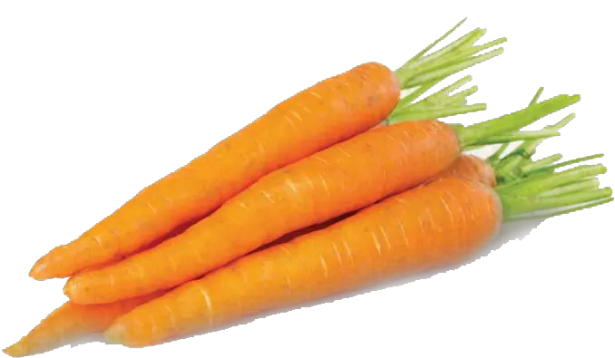  Carrots Png Image Fresh Carrot Carrots Png