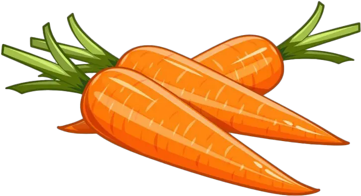  Vector Carrot Png Picture Carrot Vector Carrot Png