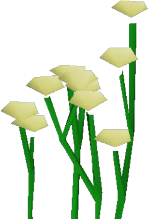  Daffodils Laceleaf Png Daffodil Icon