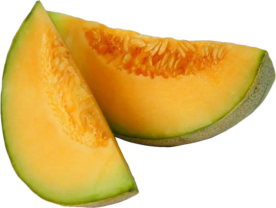  Download Melon Png Image For Free Melon Png Melon Png