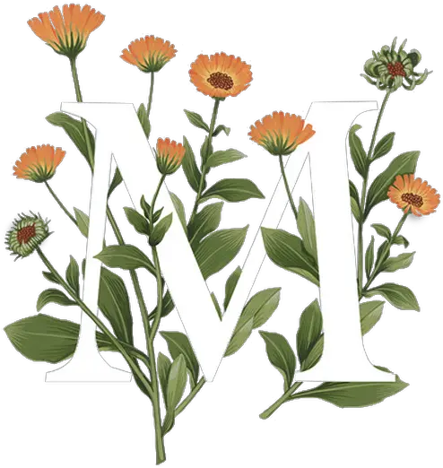  Fullscreen Page Wixtest Typography Flowers Png Marigold Png