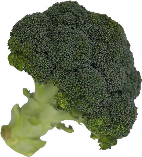  Broccoli Superfood Png Broccoli Png