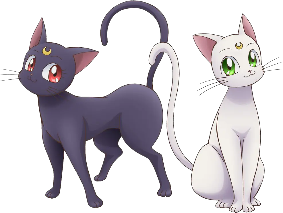  Sailor Moon Luna Png Luna Y Artemis De Sailor Moon Cats Png