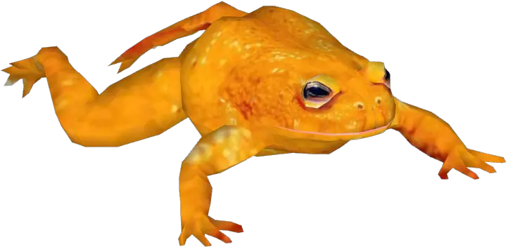  Download Posted Image Golden Toad Png Toad Transparent