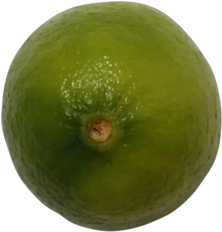  Lime Slice Png Sweet Lemon Lime Slice Png
