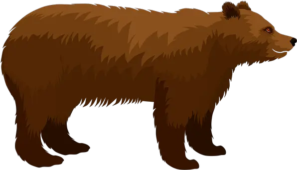  200 Free Grizzly Bear U0026 Images Bears Png Angry Bear Icon