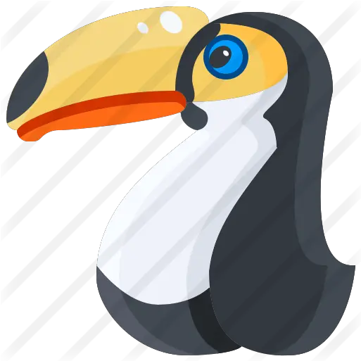  Toucan Free Animals Icons Long Png Toucan Png