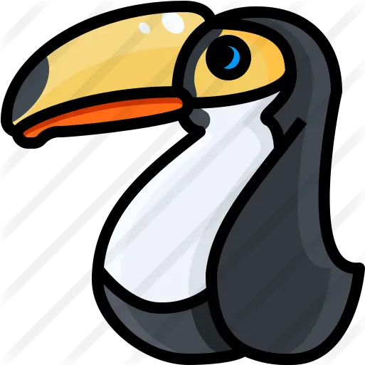  Toucan Free Animals Icons Long Png Toucan Png