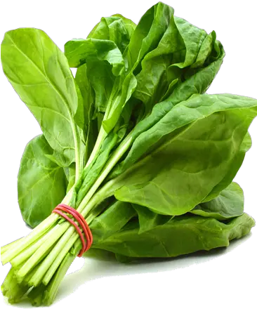  Download Spinach Png Free Vegetable Spinach Spinach Png