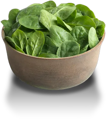  Spinach Png Vegetarian Cuisine Spinach Png