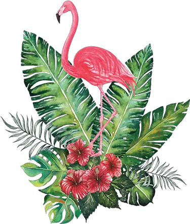  Flamingo Tropical Png Image With No Tropical Flamingo Tropical Png