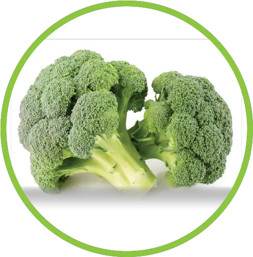  Best Dried Broccoli Powder Fragments Broccoli Png Broccoli Transparent