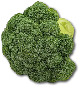  Australian Broccoli Broccoli Png Broccoli Transparent