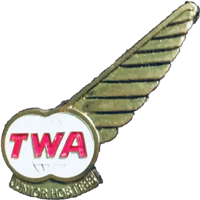  Junior Flight Wings Emblem Png Pilot Wings Png