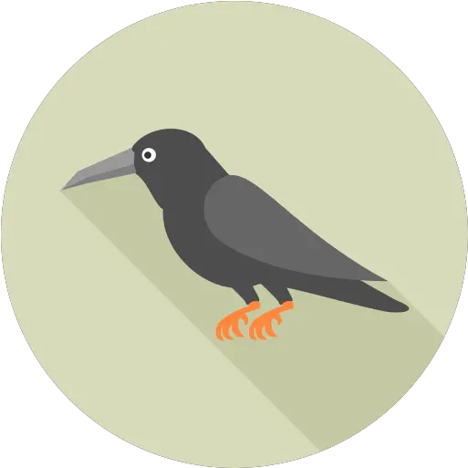  Crow Png Icon 5 Png Repo Free Png Icons Hummingbird Crow Transparent