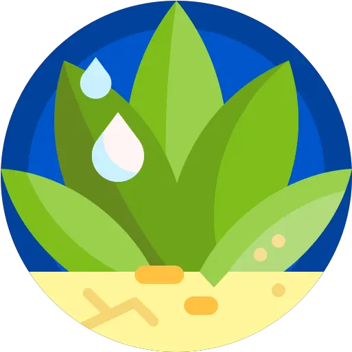  Succulent Free Nature Icons Vertical Png Succulent Icon