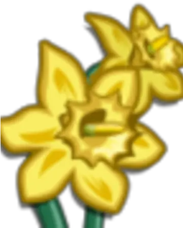  Daffodil Lovely Png Daffodil Png