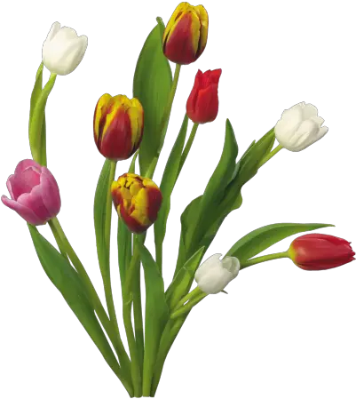  Download Spring Free Png Transparent Image And Clipart Flowers Spring Png