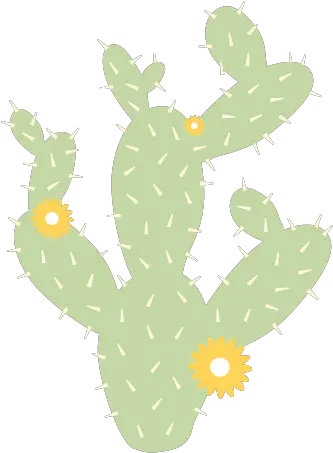  Download Prickly Pear Cactus Decal Hd Png Uokplrs Eastern Prickly Pear Cactus Png