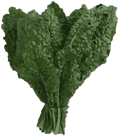  Kale Green Transparent Png Clipart Kale Kale Png