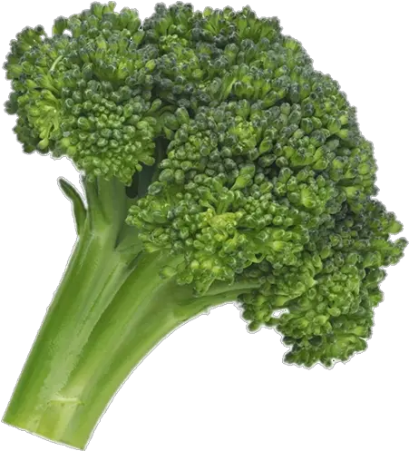  Png Broccoli Green Food Broccoli Transparent