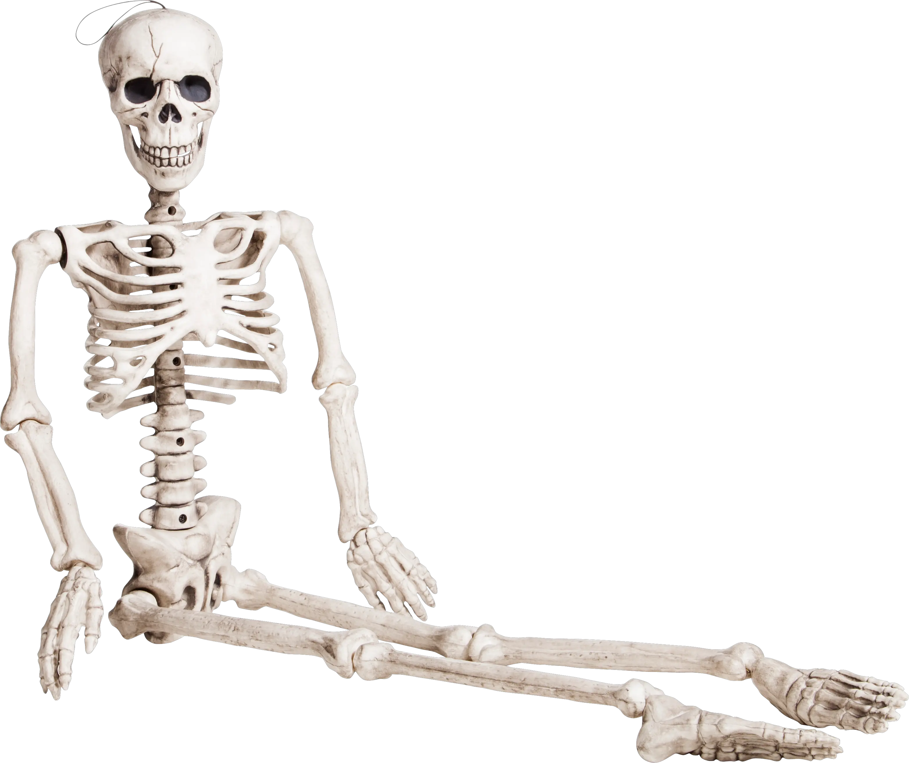  Skeleton Png Sitting Skeleton Png Skeleton Png Transparent