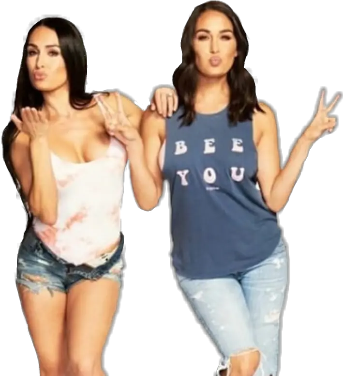  Nikkibella Briebella Birdiebee Imagenes De Nikki Brie Bellas Armys Png Brie Bella Png