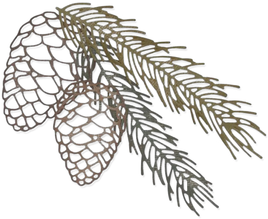  Pine Branch Png Clipart Sizzix Pine Branch Png